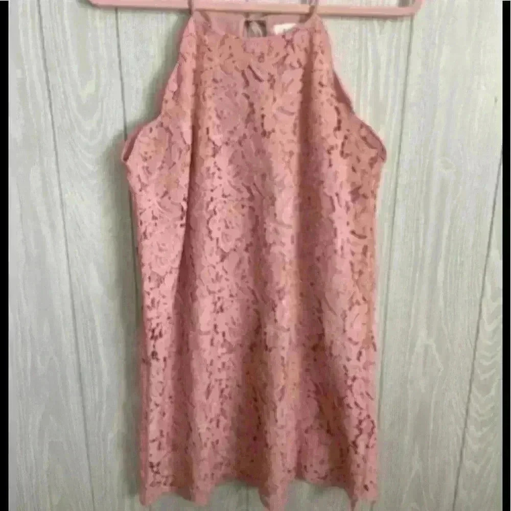 Le Kate Petal Pink Lace Dress Size M